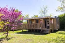 Home - séjour au camping dans le Luberon à Forcalquier Home - camping Luberon Forcalquier Alpes de Hautes Provence