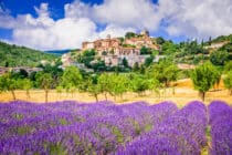 *Lavande - camping Luberon Forcalquier Alpes de Hautes Provence