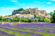 *Lavande - camping Luberon Forcalquier Alpes de Hautes Provence