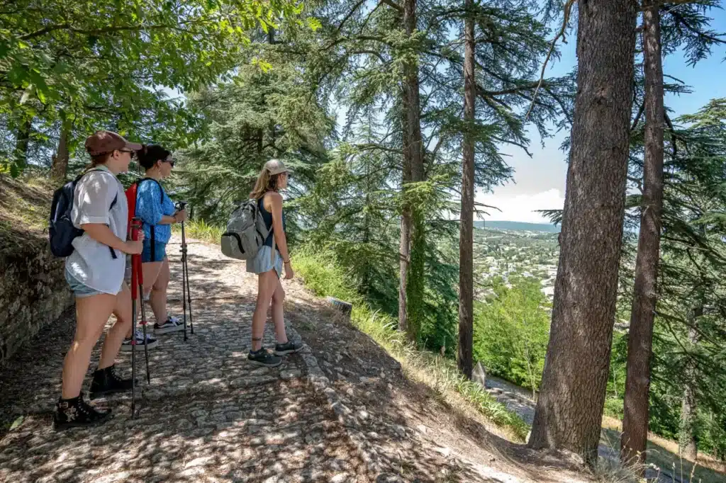 Galerie photos - camping Luberon Forcalquier Alpes de Hautes Provence